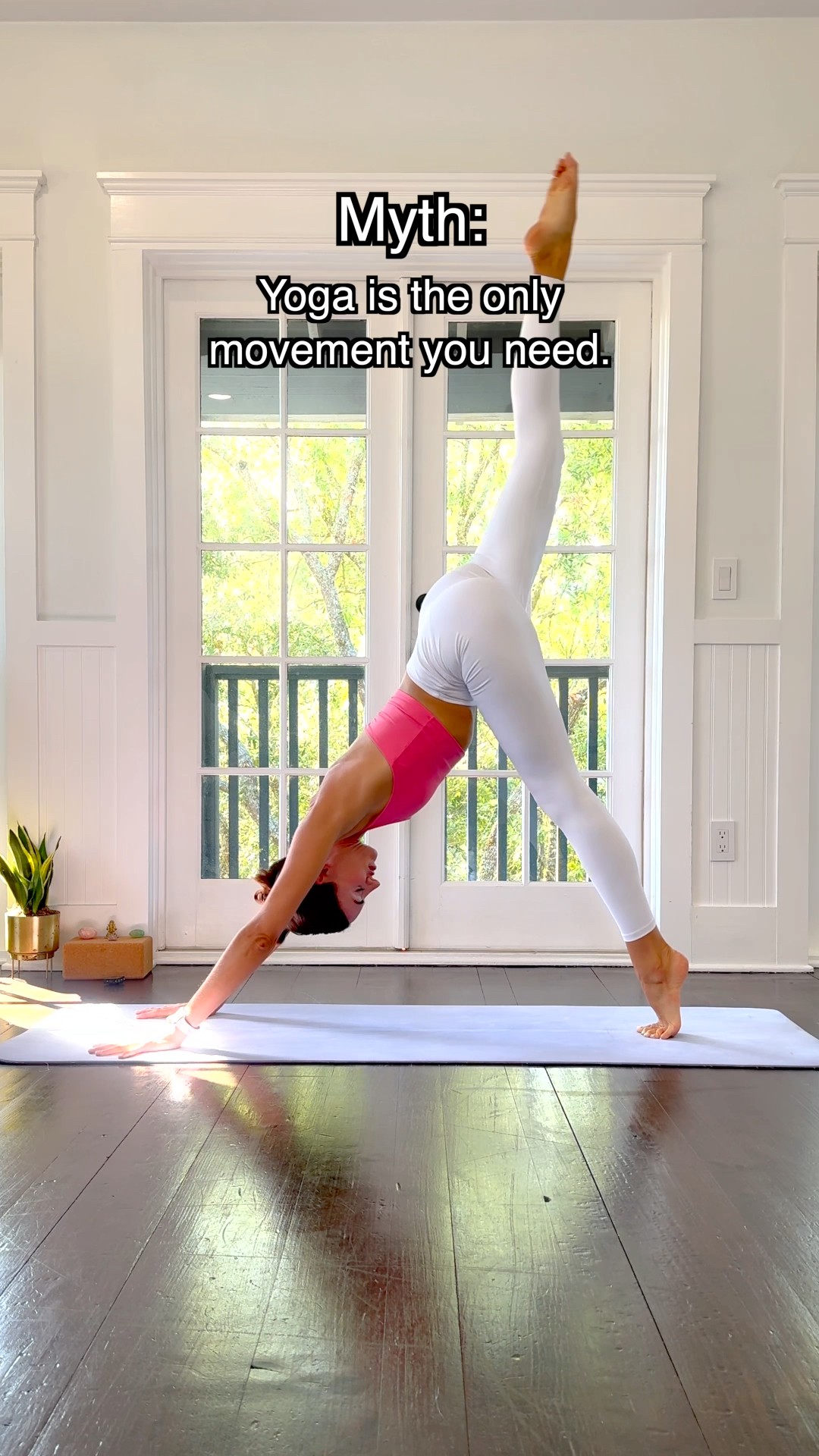 Controversial Yoga Myth (What do you think?)